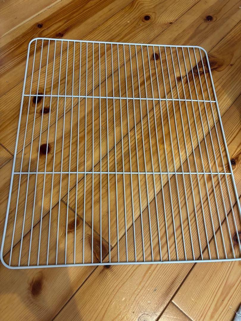 クリアバード40