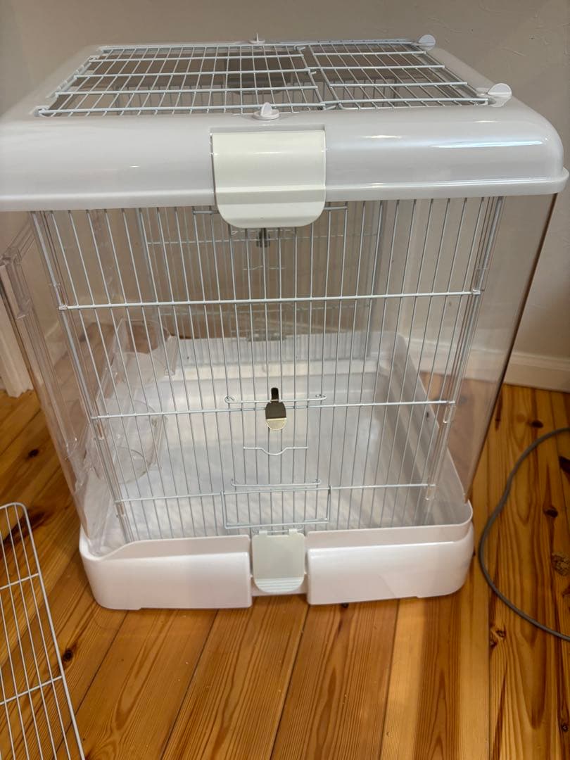 クリアバード40