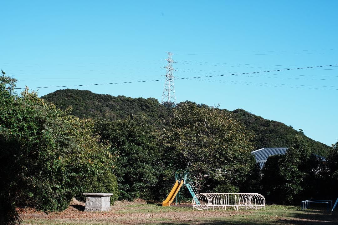 フード付 Carl Zeiss Planar 50mm F1.4 AEJ 703