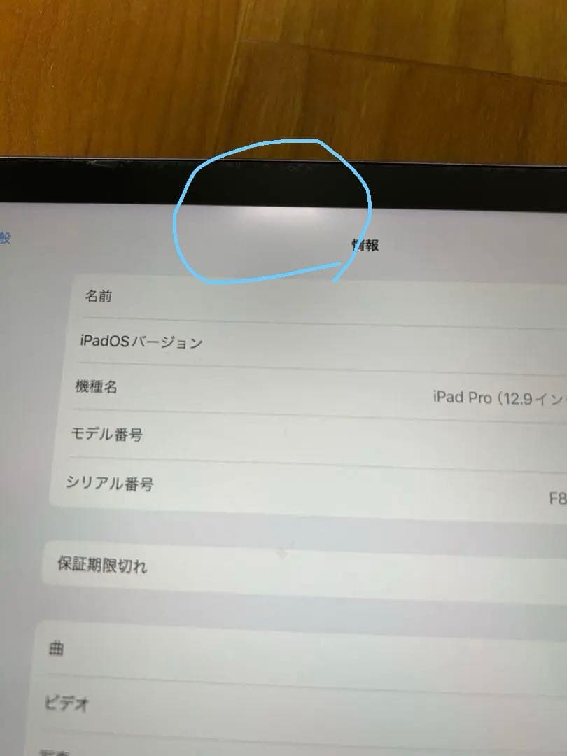 美品 iPad Pro12.9インチ 第二世代 64gb Wi-Fiモデル