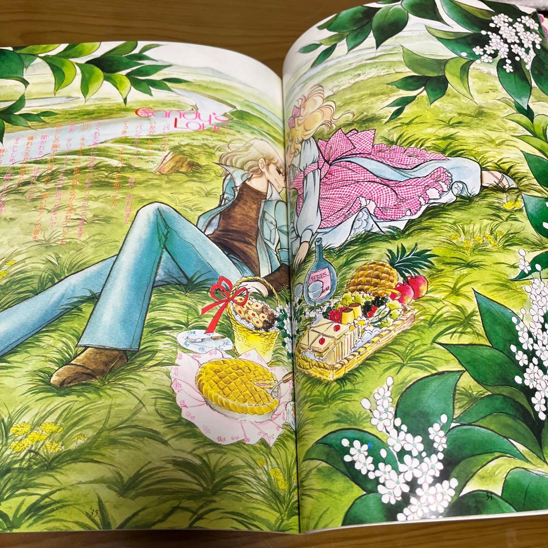 【美品】キャンディキャンディ　イラスト集PART2 いがらしゆみこ