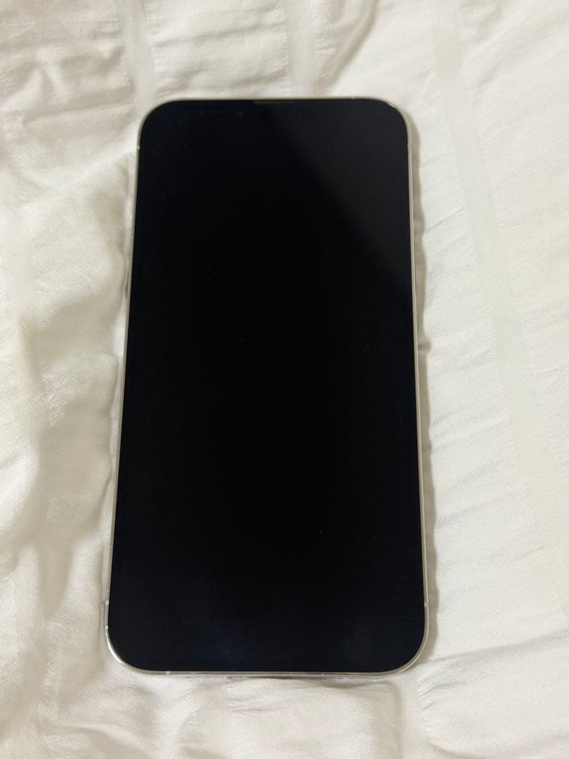 【1TB】 iPhone 13 Pro Max シルバー 1024GB