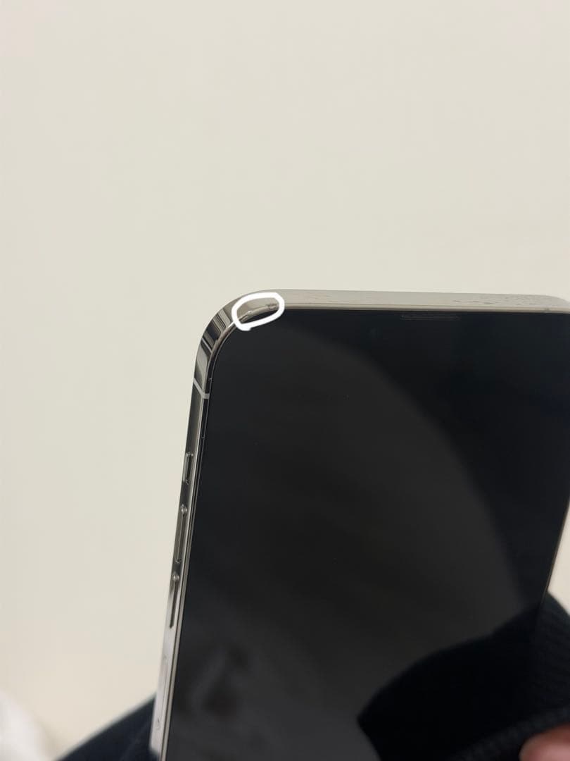 【1TB】 iPhone 13 Pro Max シルバー 1024GB