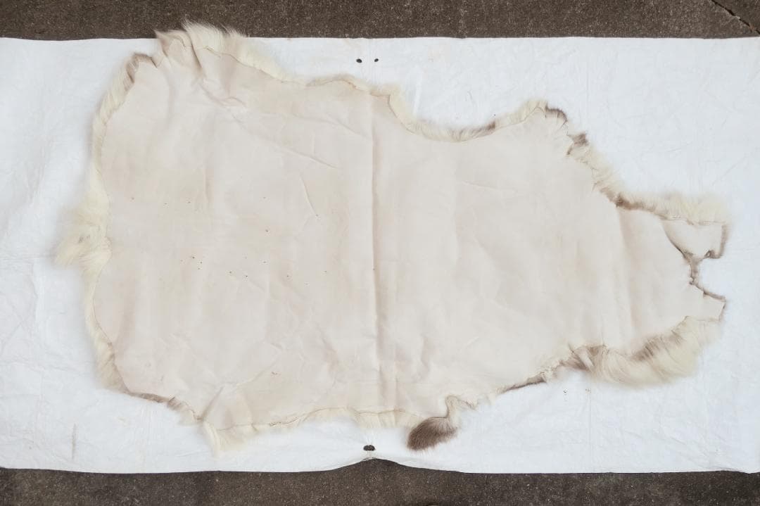 トナカイ　毛皮　　ラグ　敷物　キャンプ　ブッシュクラフト