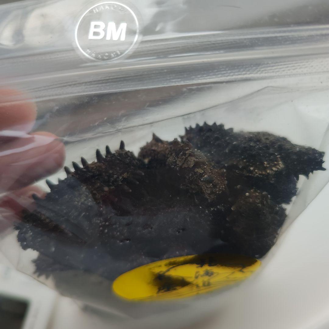 北海道産乾燥ナマコ  500gr