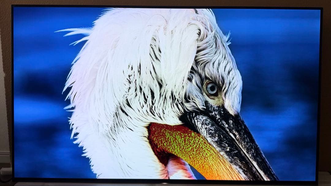 SONY 4K有機ELテレビ KJ-55A1