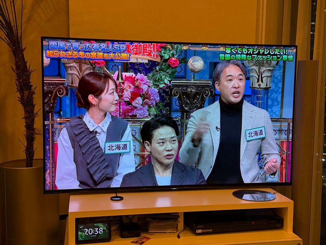 SONY 4K有機ELテレビ KJ-55A1