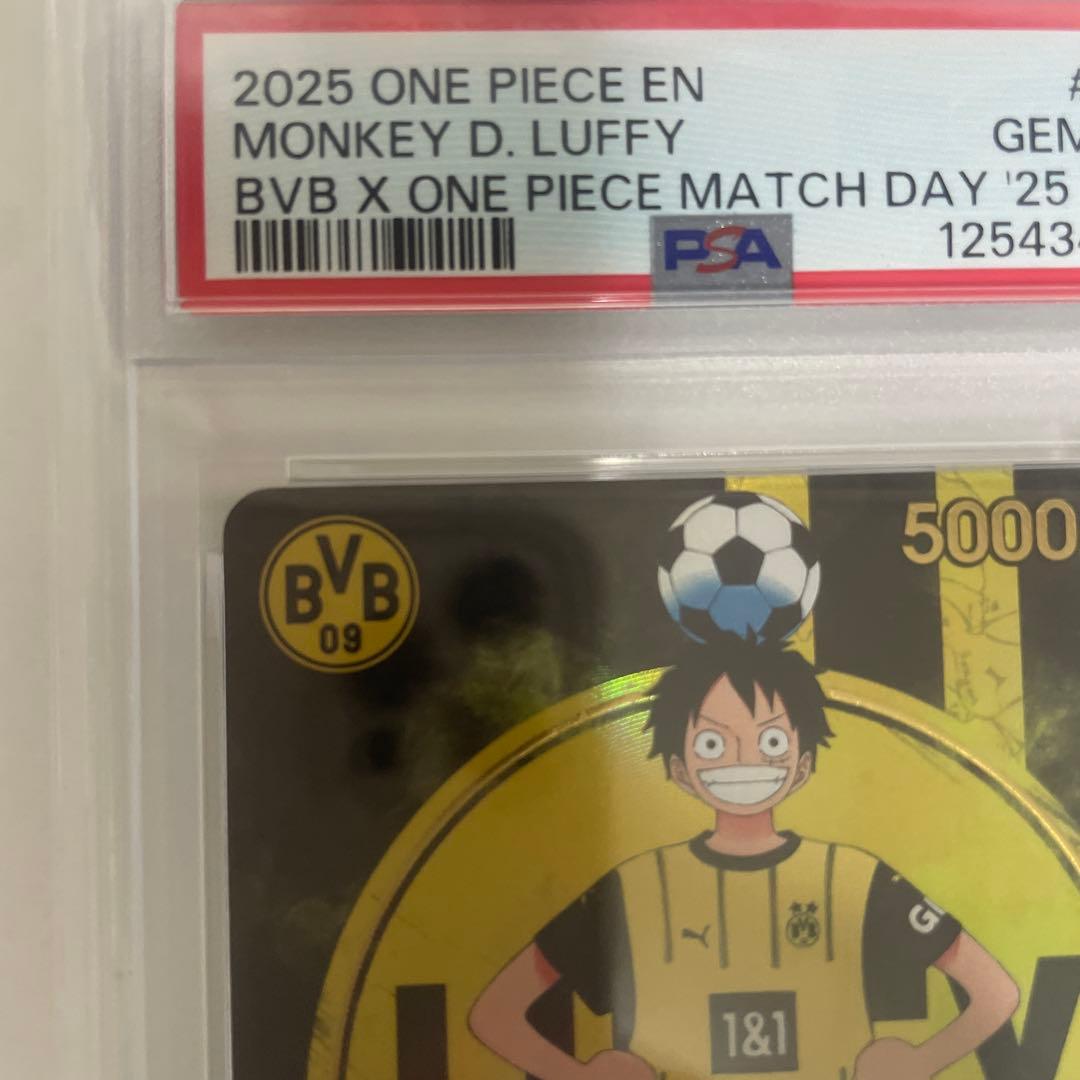 BVB ルフィ ドルトムント ドイツ プロモ 英語 海外