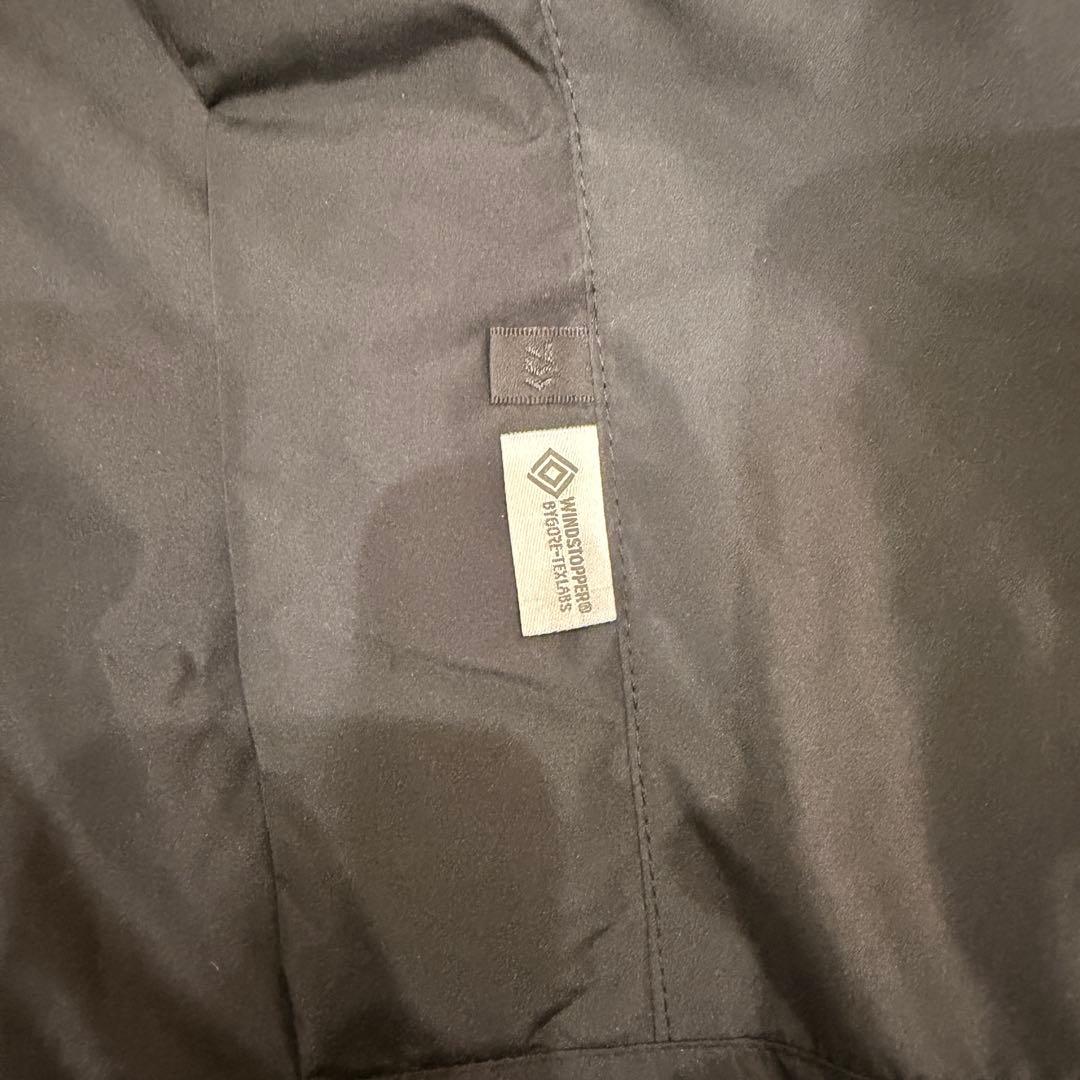 DAIWA PIER39 GORE-TEX ブラック ダウンベスト