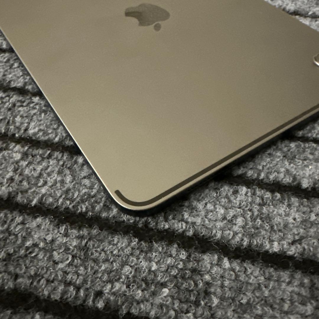 123 iPad Pro 11インチ 2世代　256GB Wi-Fi グレイ