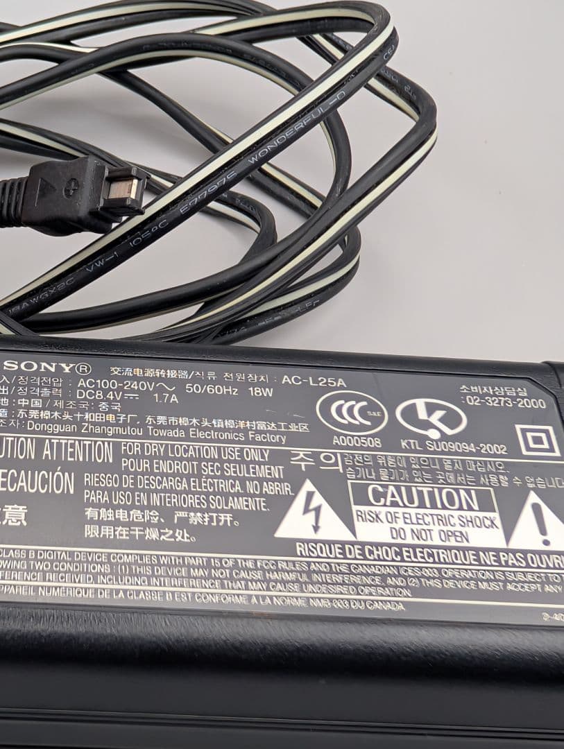 SONY ハンディカム DCR-SR60 30GB Carl Zeiss 動確済