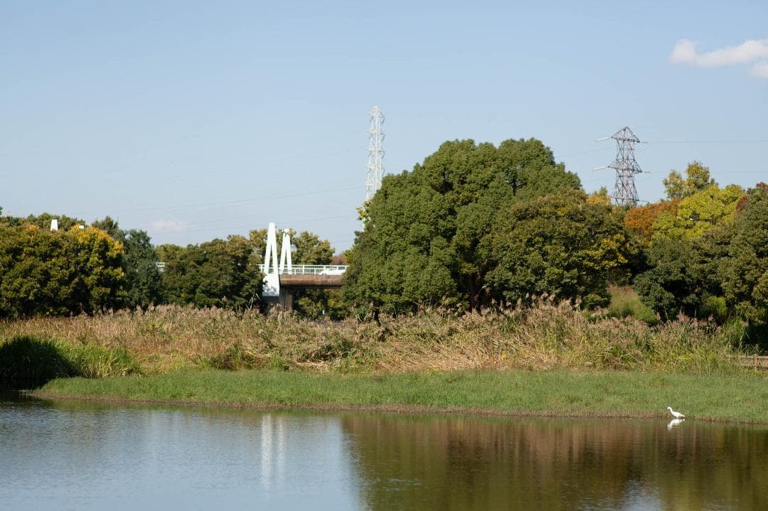 Carl Zeiss Planar T f1.4 85mm ZE キャノン用