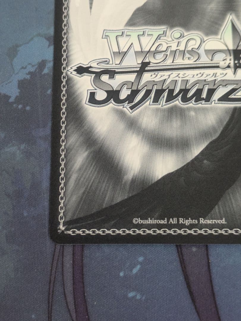 いざ！大海原へ 桜坂 しずく サイン SSP