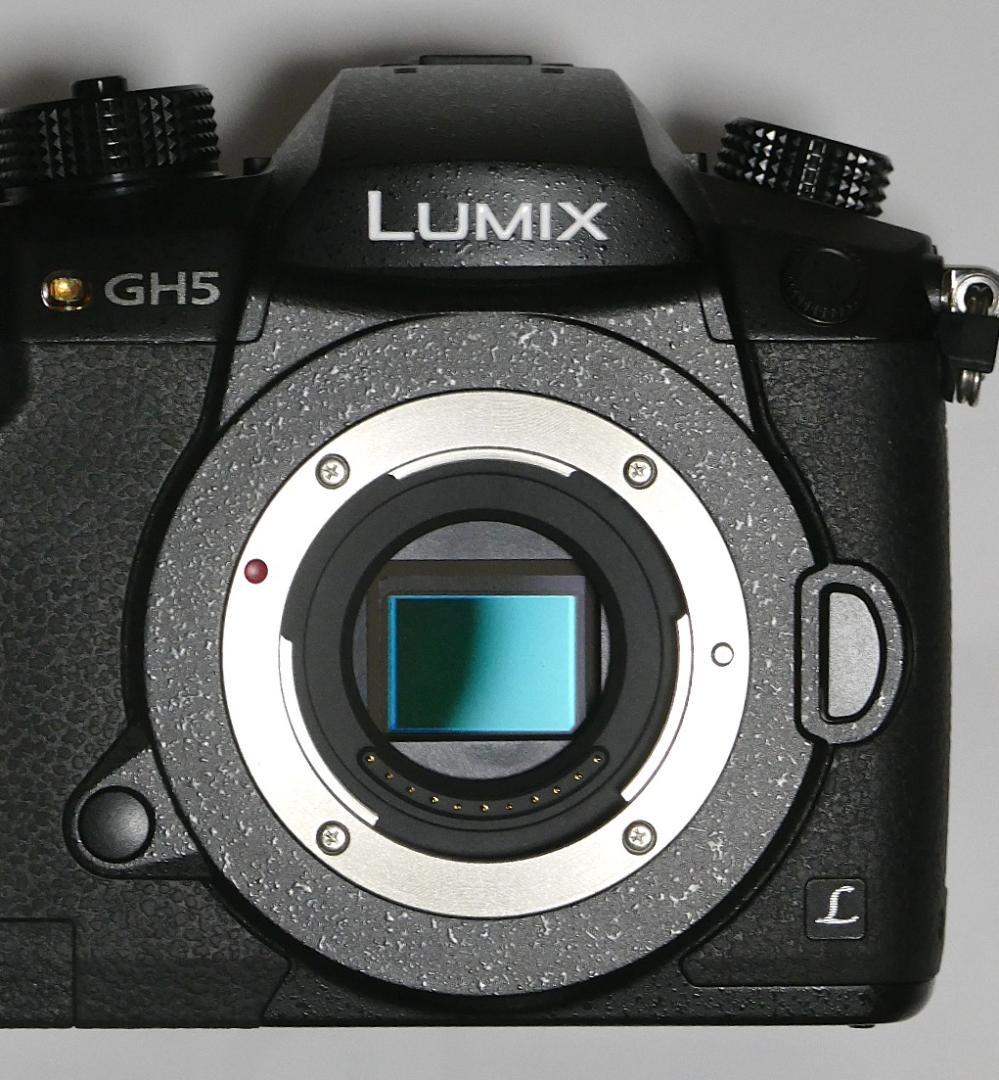 ☆ Panasonic LUMIX DC-GH5 ミラーレス一眼 V-Log ☆