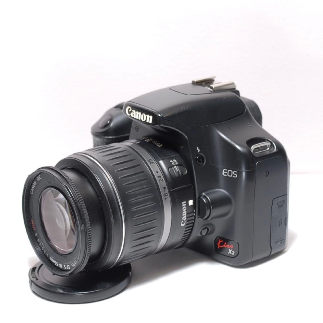 ✨超望遠レンズデビュー✨Canon Kiss X2✨ ダブルレンズ✨作例あり✨