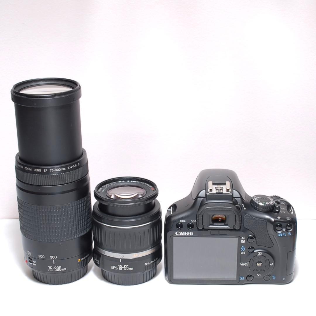 ✨超望遠レンズデビュー✨Canon Kiss X2✨ ダブルレンズ✨作例あり✨