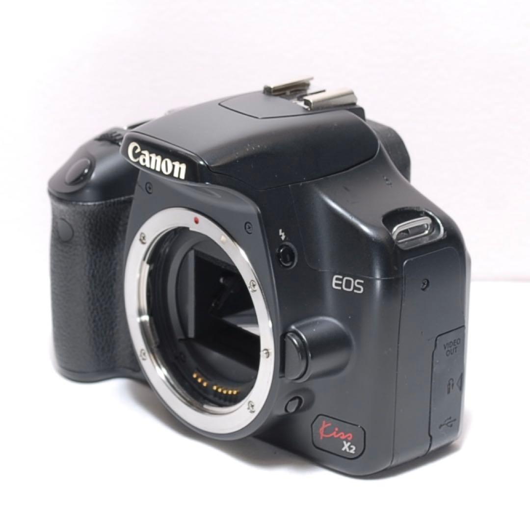 ✨超望遠レンズデビュー✨Canon Kiss X2✨ ダブルレンズ✨作例あり✨