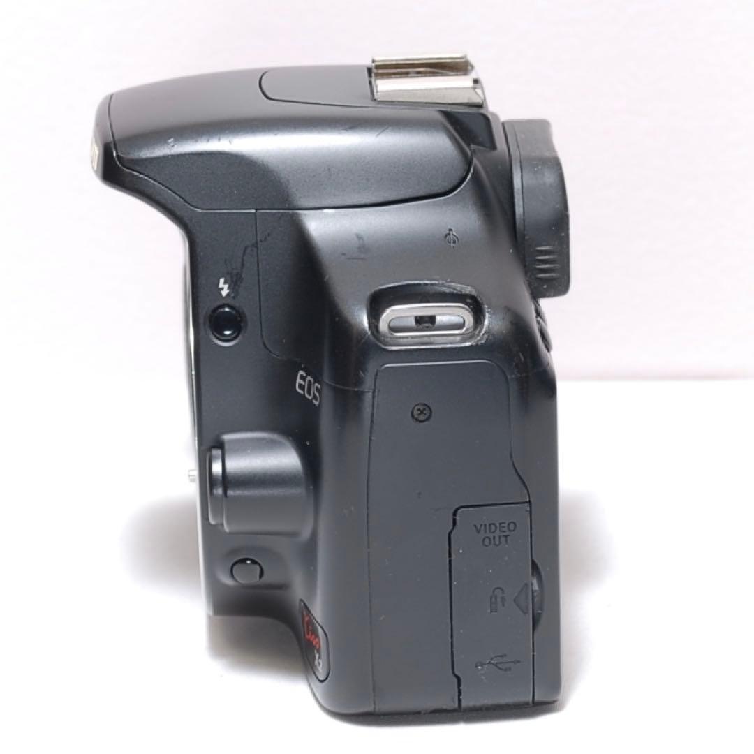 ✨超望遠レンズデビュー✨Canon Kiss X2✨ ダブルレンズ✨作例あり✨