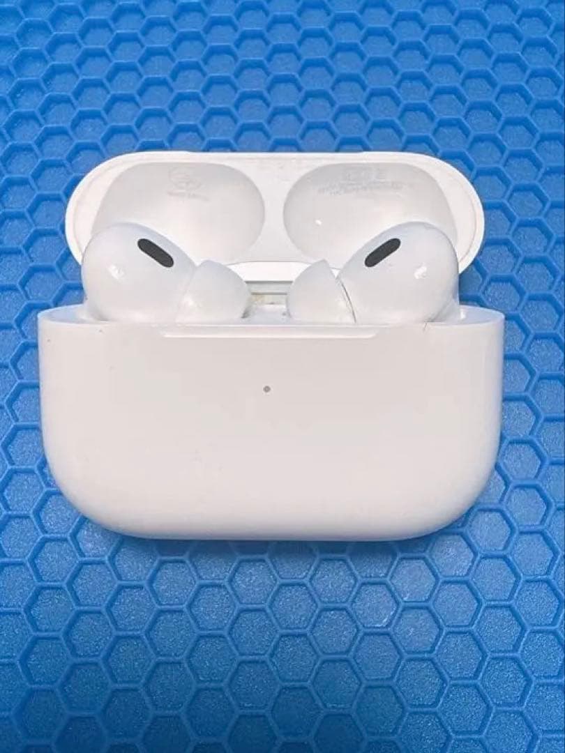 Apple AirPods Pro2 Lightningコネクタ