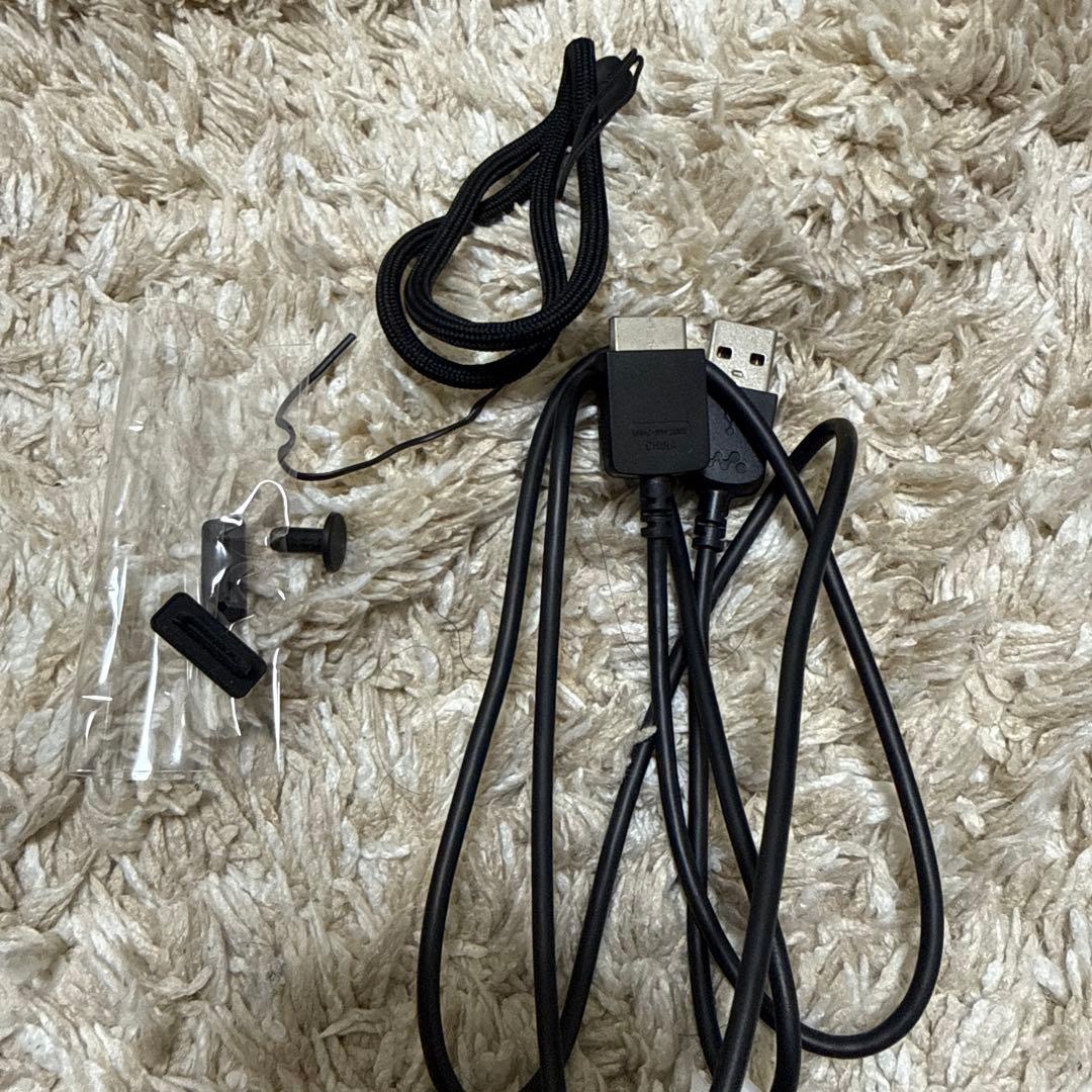 SONY NW-WM1A 128GB デジタルオーディオプレーヤー