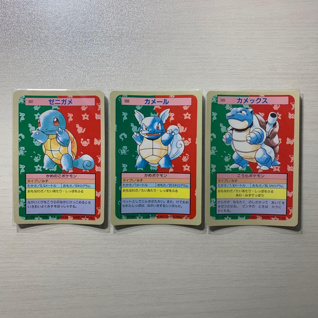 トップサン　ゼニガメ　カメール　カメックス　裏青