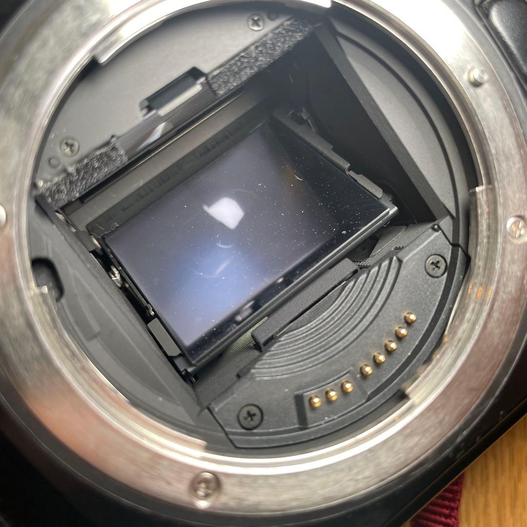 Canon EOS-1v フィルムカメラ