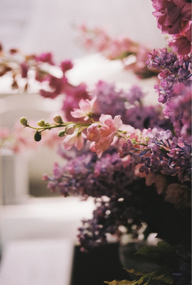 Canon EOS-1v フィルムカメラ