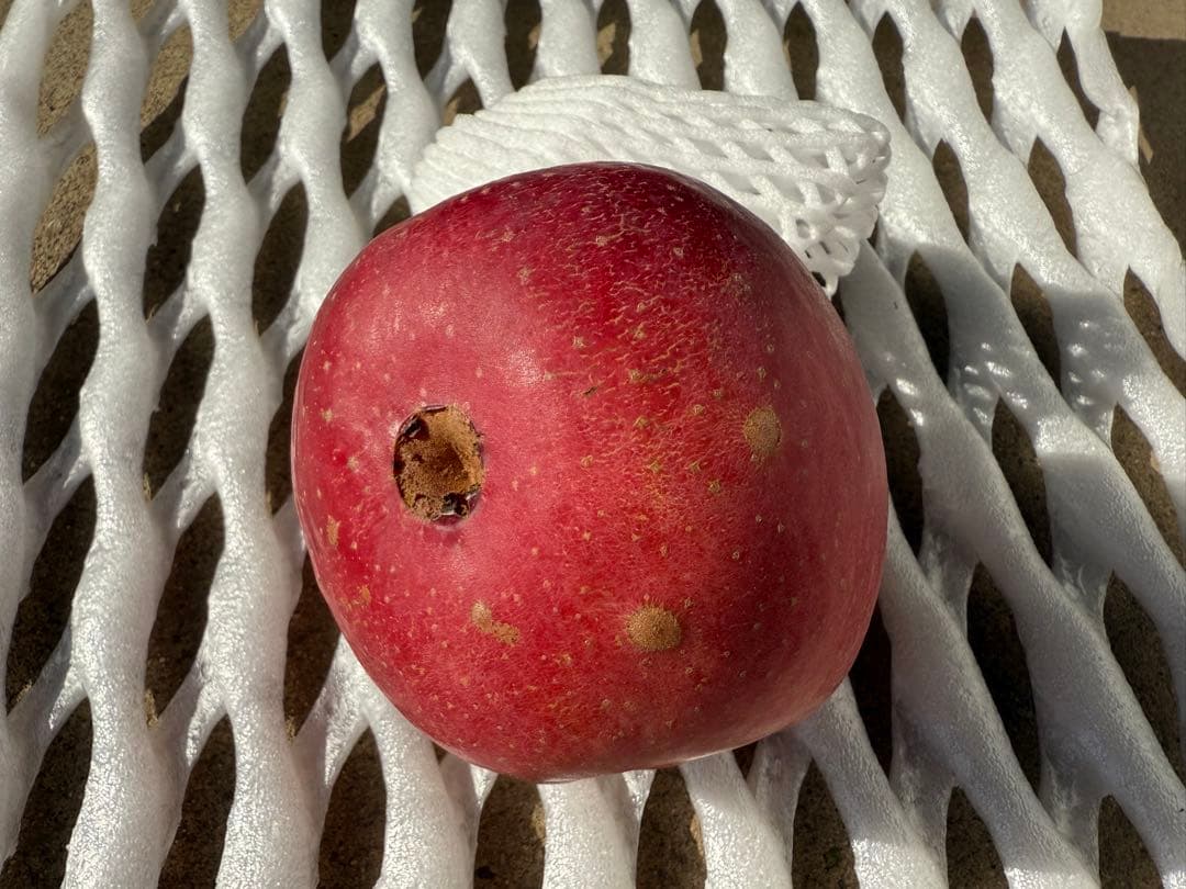 ●すみちゃん●5kg×3箱