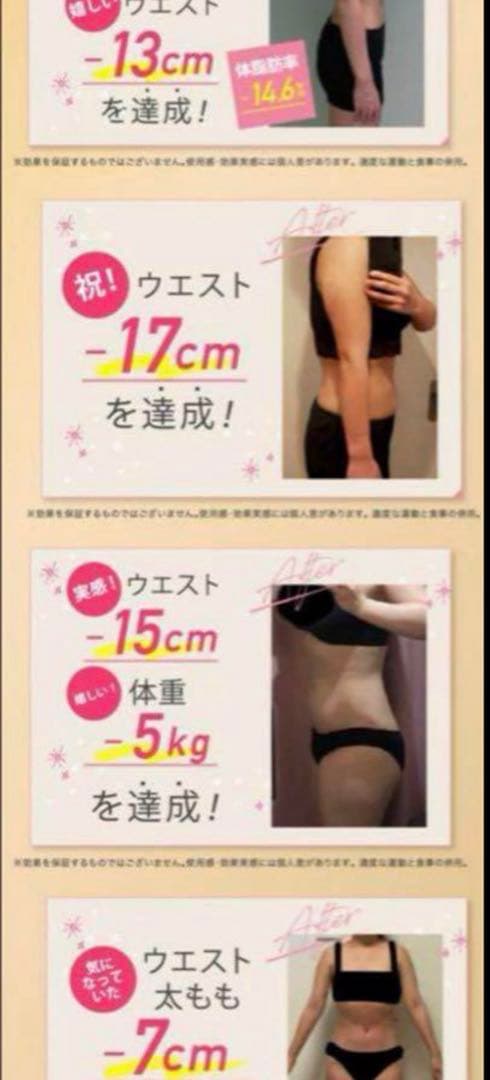 じぶんでエステ　セルゼロバッグ　フェイス ボディ用 エステマシン