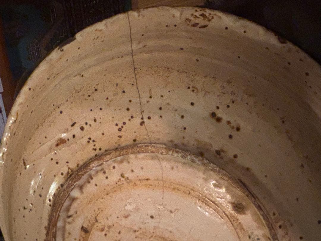 双鳥文様 陶器皿 スペイン製 木箱付き