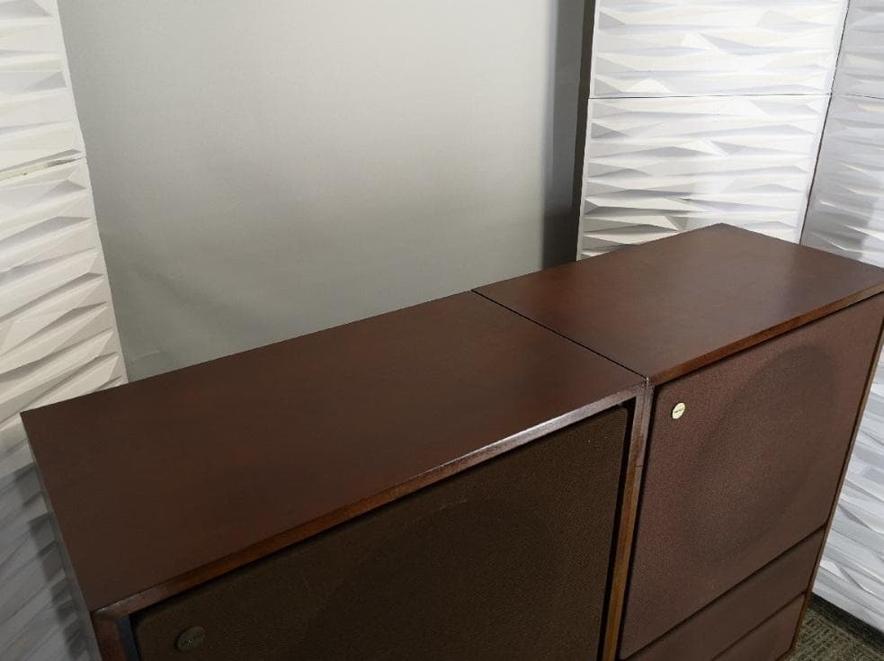 えだひこ TANNOY ARDENエッジ新品 ペア２台目（１本のみ）