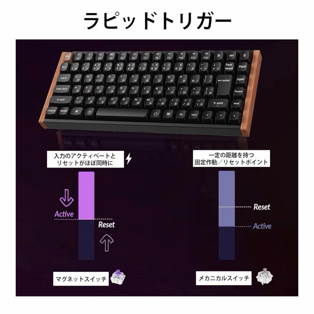 Keychron K2 HE ラピッドトリガー 日本語配列