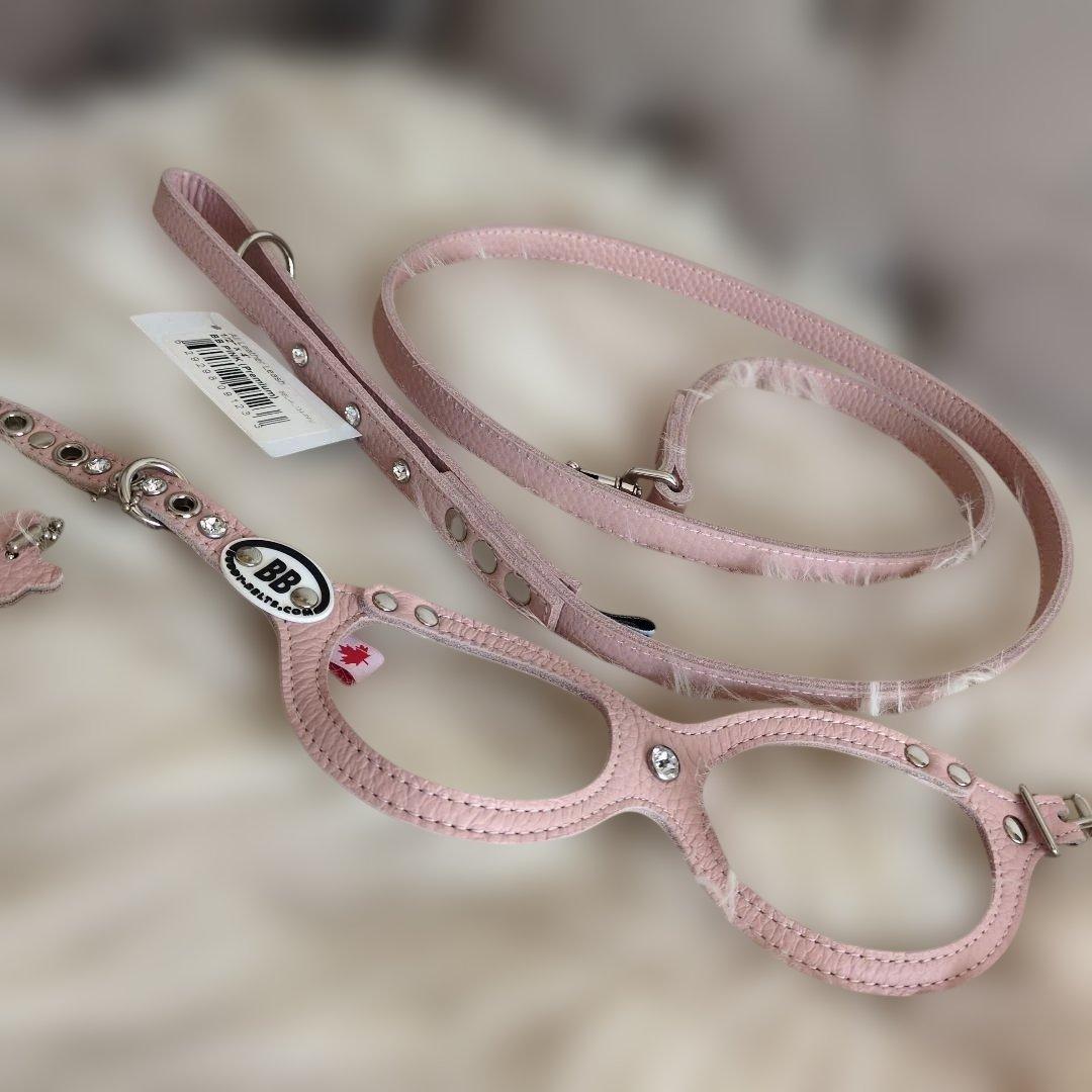 最終お値下げ♥️ bbベルト fa☆fa 新品リード、ハーネス本革セット