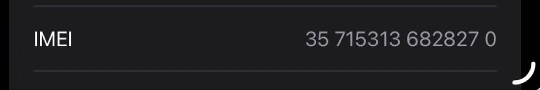 iPad mini 7 (A17 Pro)セルラー版 128GB