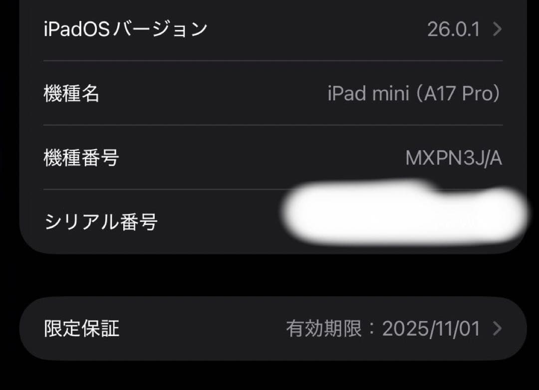 iPad mini 7 (A17 Pro)セルラー版 128GB