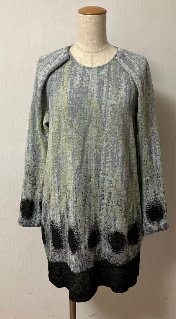 ヒロココシノチエニック