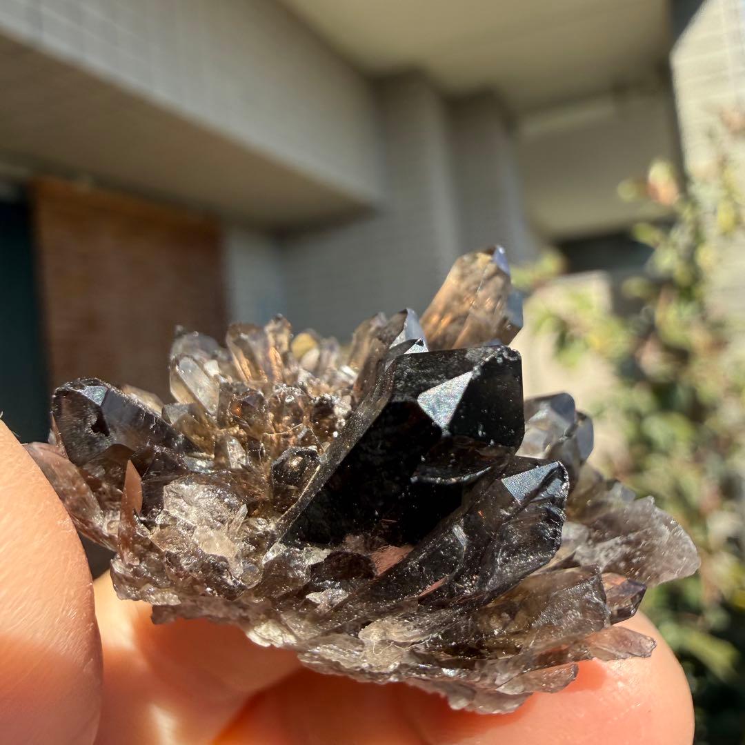 自然色　水晶クラスター モリオン　14個セット　1kg 水晶　原石　自然石c1