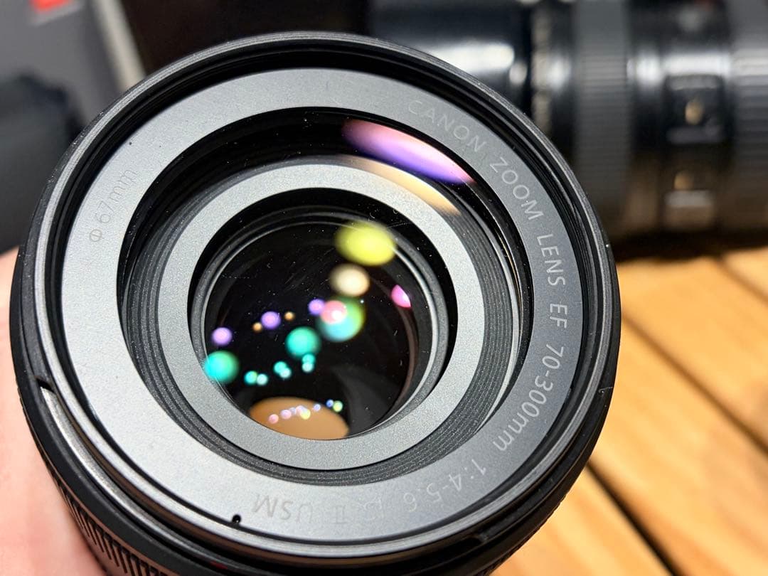 Canon マウントアダプタ EF-EOS R+ EFレンズ2本セット