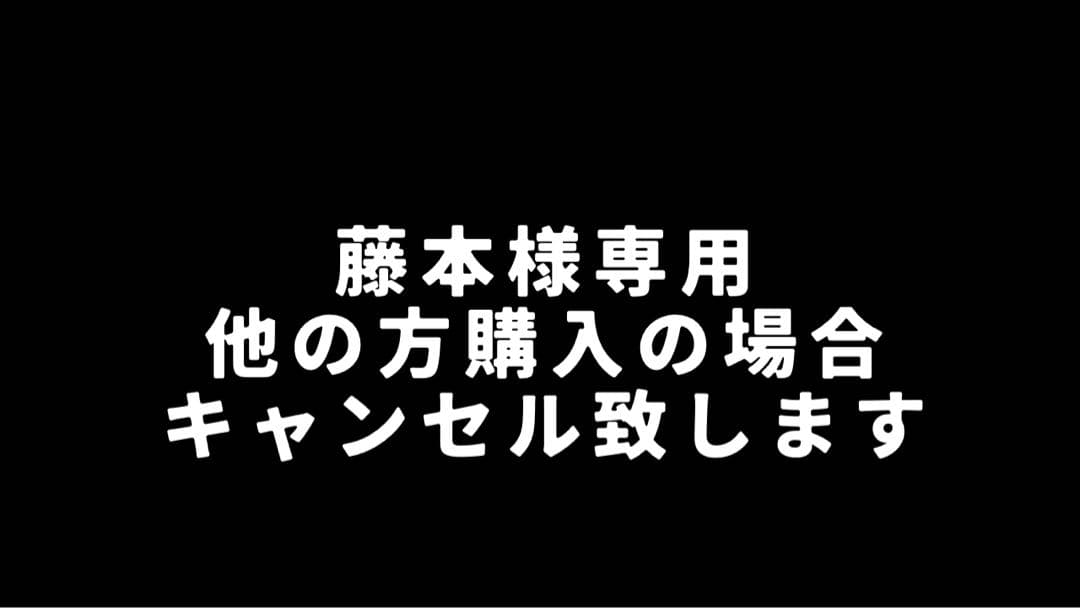 【藤本】256GB 11インチ iPad Pro（第2世代）