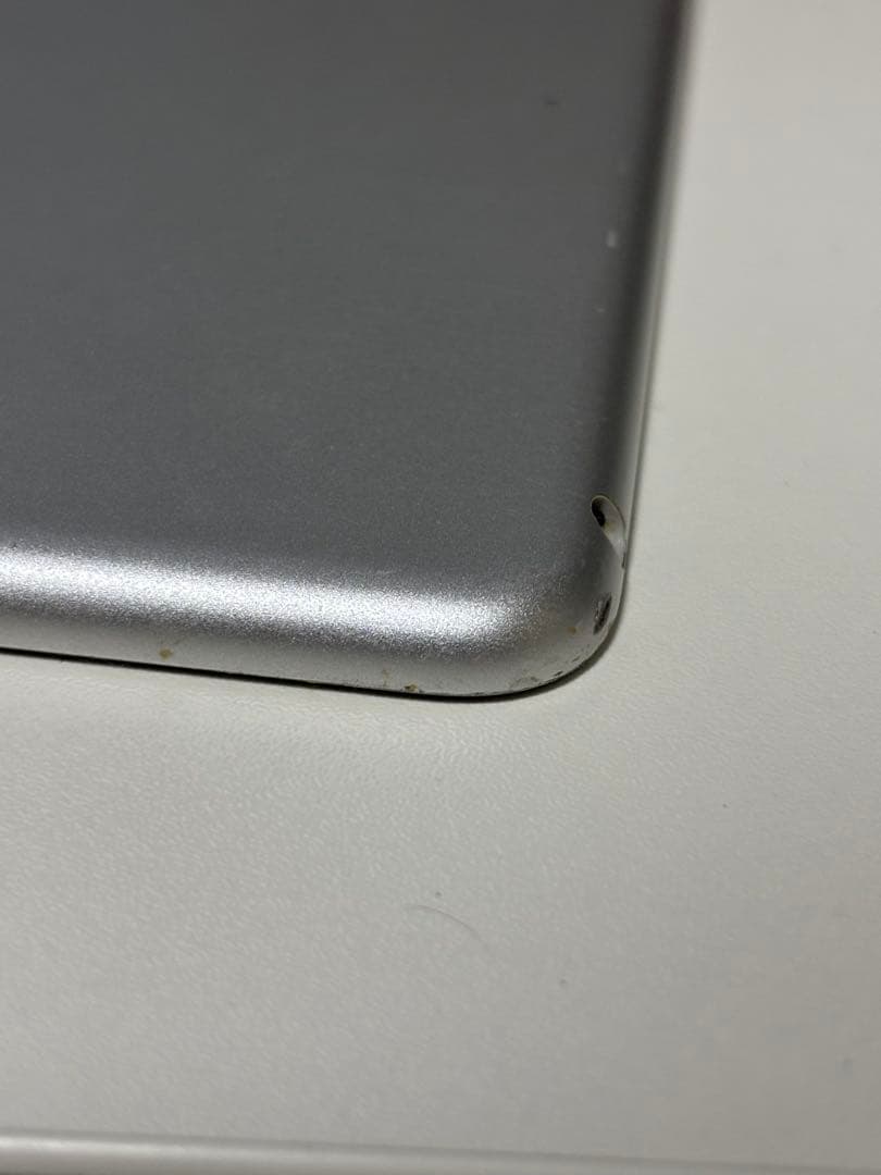 iPad mini 5 (第5世代) 64GB 保護フィルム、ケース付き