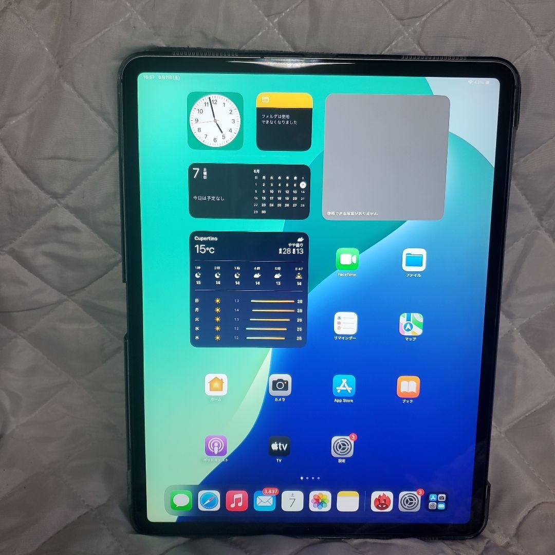 iPad pro 第3世代12.9 セルラーモデル265GB