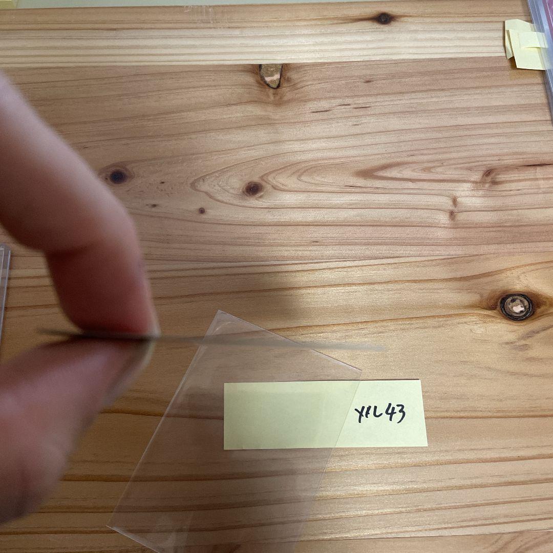 ニンフィアGX CHAMPIONSHIP SERIES 2019 プロモ