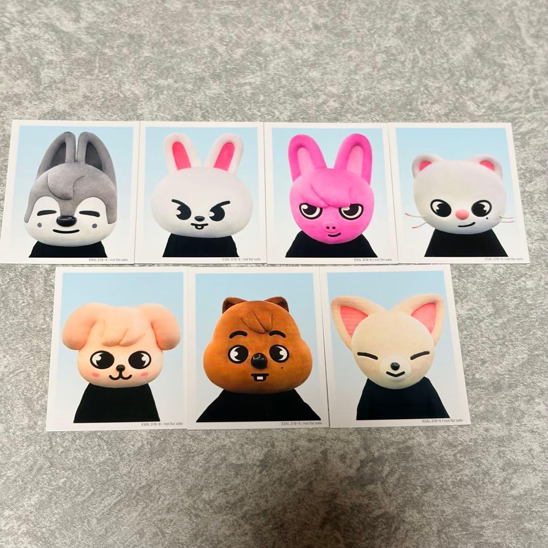 Stray Kids TOYWORLD 完全生産　トレカ　タワレコ　IDフォト