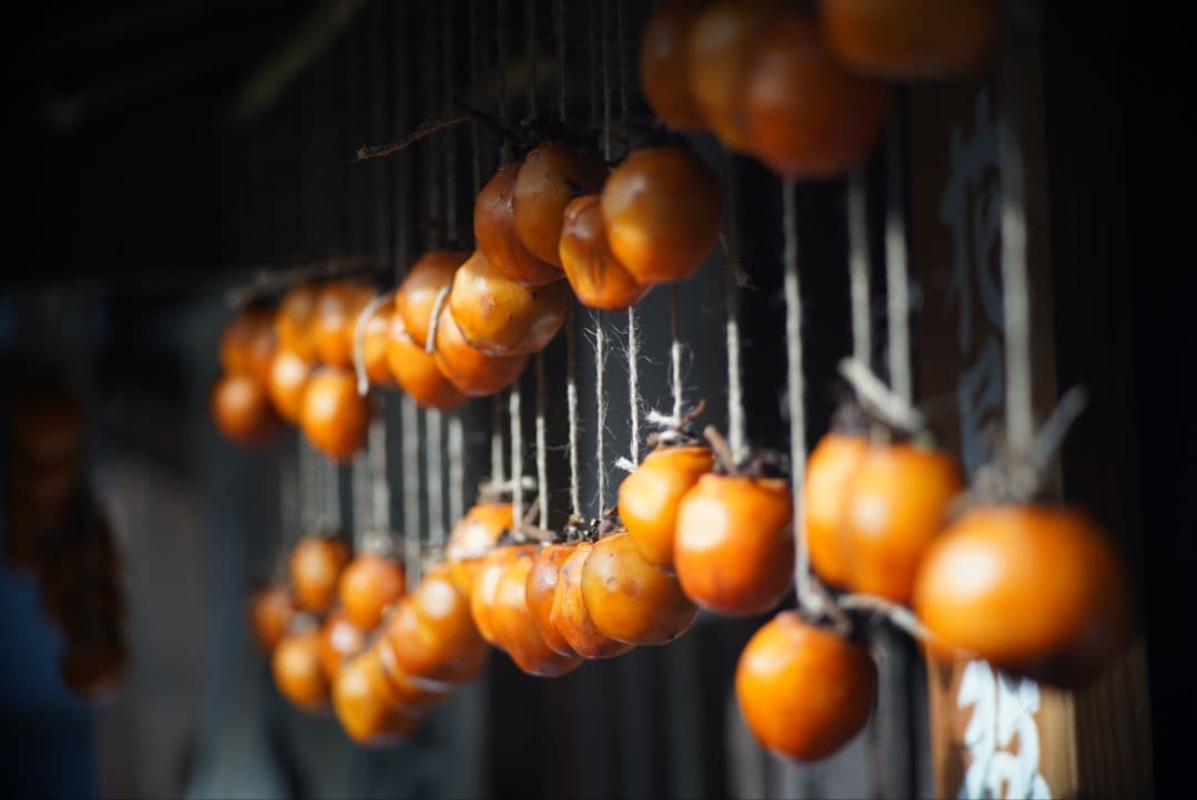 【動作確認済】OLYMPUS ペン用 100mm f3.5純正フード&キャップ付