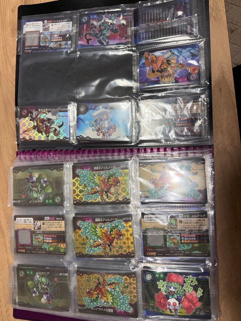 超獣戯牙ガオロードまとめ売り　アナザー