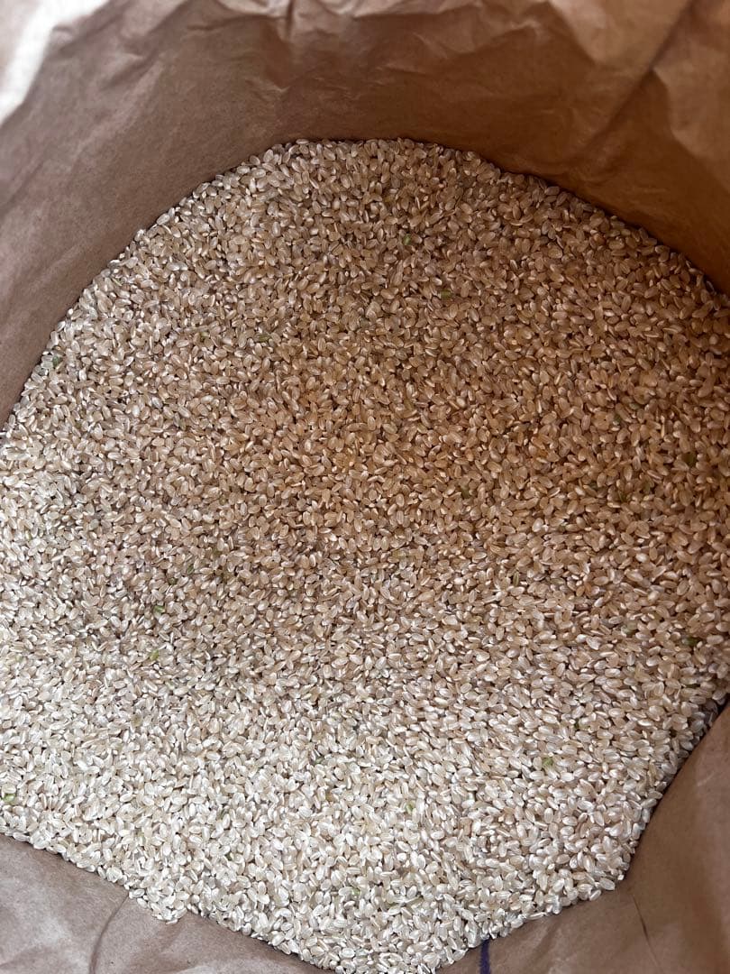 R7 新米　コシヒカリ　玄米30キロ　送料込み