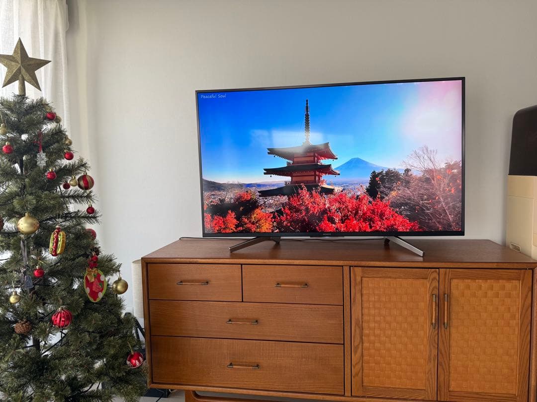 【正常動作・美品】SONY BRAVIA KJ-49X8500G 2019年製