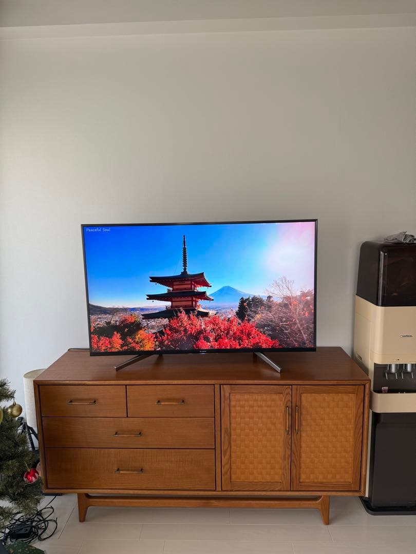 【正常動作・美品】SONY BRAVIA KJ-49X8500G 2019年製