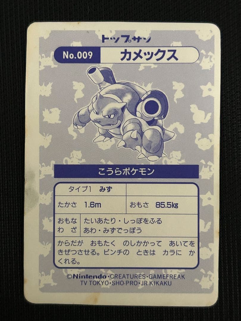 トップサン　カメックス　ホログラム