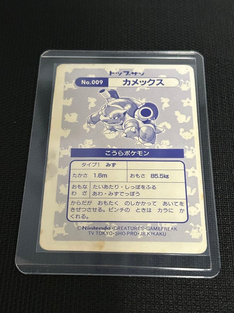 トップサン　カメックス　ホログラム